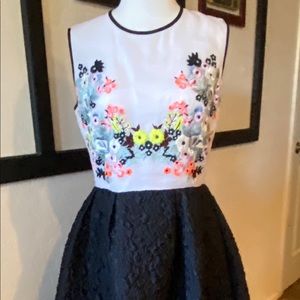 Gorgeous Erdem Embroidered Organza Dress FR40 US8